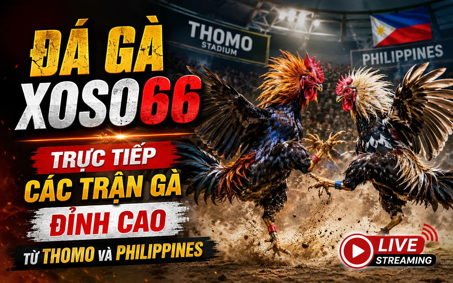 Đá gà Xoso66 – Trực tiếp các trận gà đỉnh cao từ Thomo và Philippines